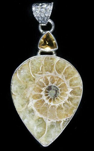 Ammonite Fossil Pendant - Sterling Silver #48511